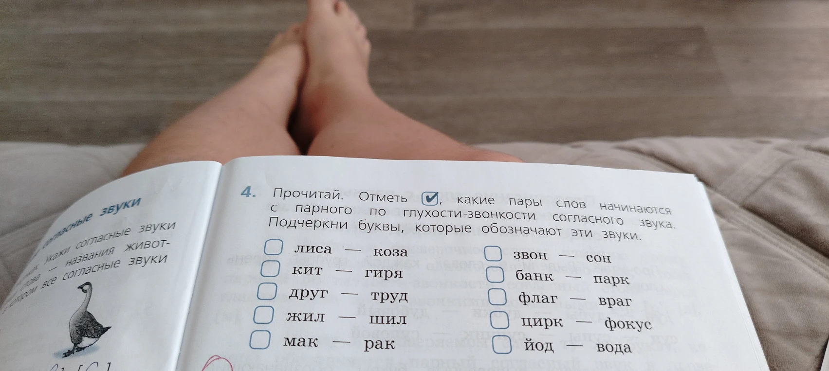 Прочитай. Отметь, какие пары слов начинаются с парного по глухости-звонкости согласного звука. Подчеркни буквы, которые обозначают эти звуки.