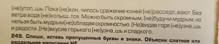 Спиши, вставь пропущенные буквы и знаки. Объясни слитное или раздельное написание НЕ.