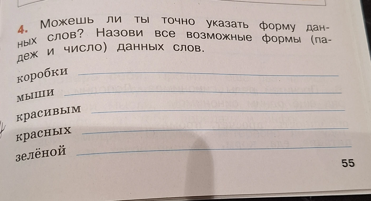 4. Можешь ли ты точно указать форму данных слов? Назови все возможные формы (падеж и число) данных слов.