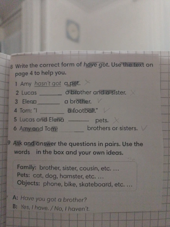 8 Write the correct form of have got. Use the text on page 4 to help you.