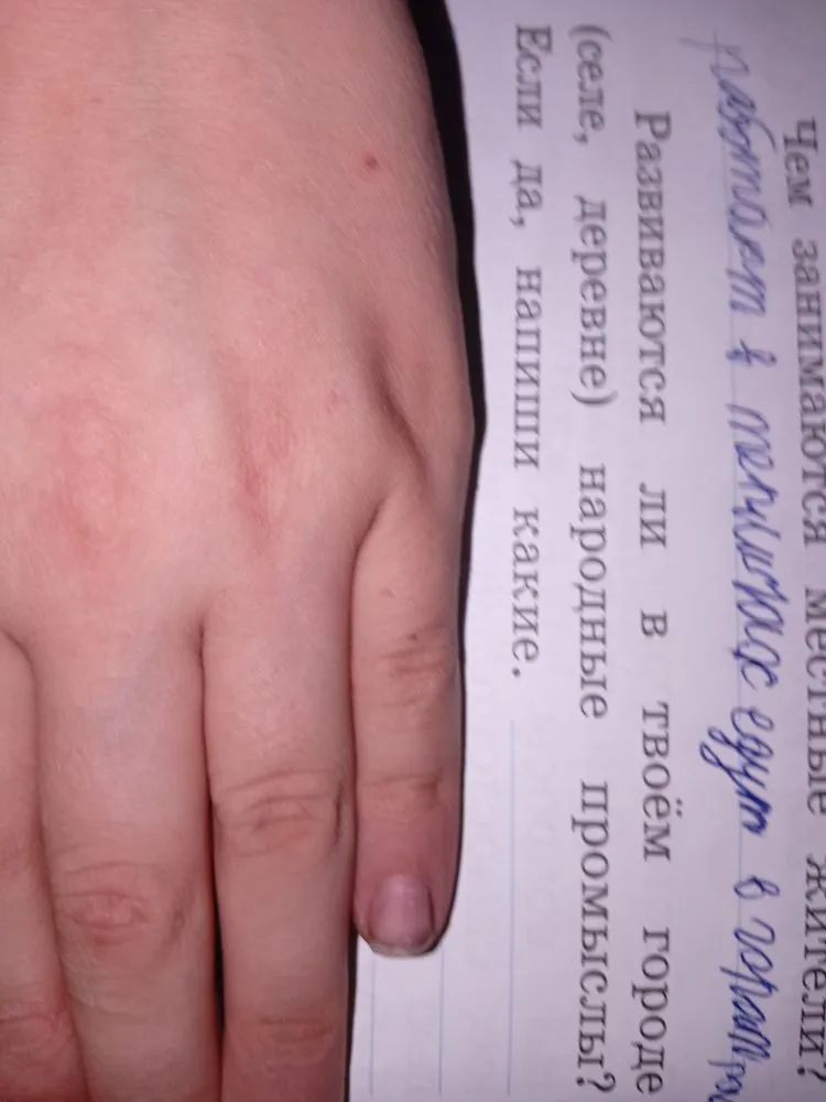 Развиваются ли в твоём городе (селе, деревне) народные промыслы? Если да, напиши какие.