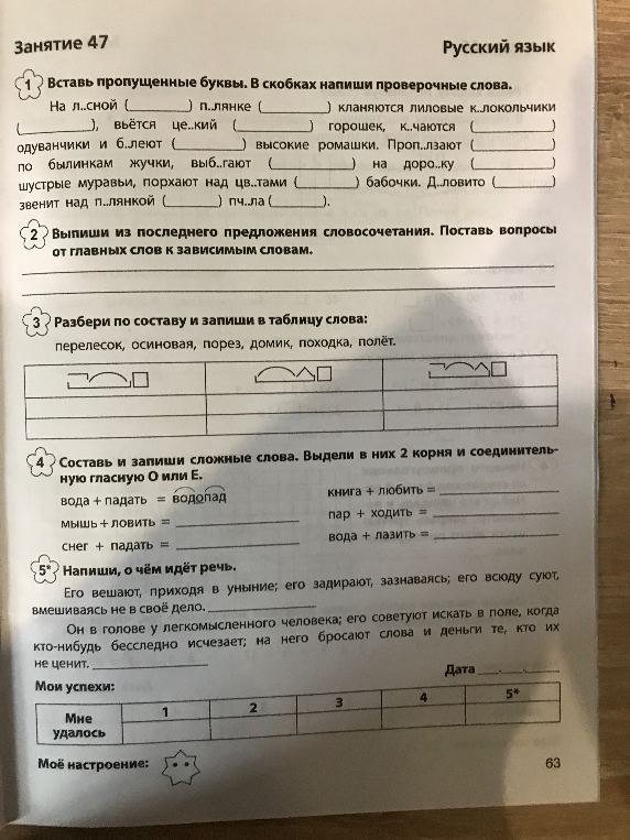 Вставь пропущенные буквы. В скобках напиши проверочные слова.
