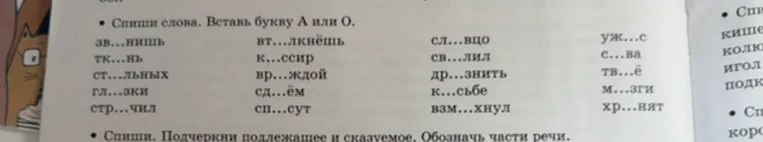 Спиши слова. Вставь букву А или О.