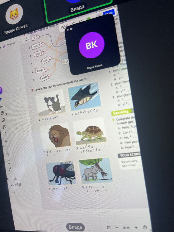 Look at the pictures and complete the words.