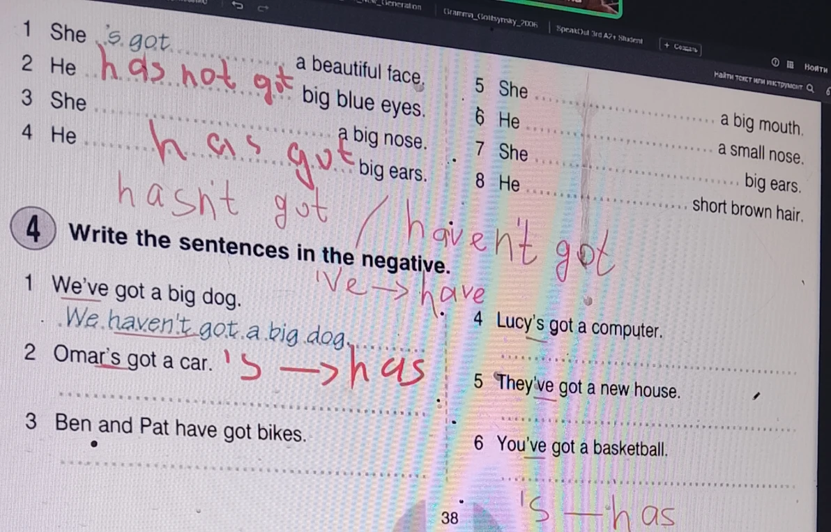Write the sentences in the negative.