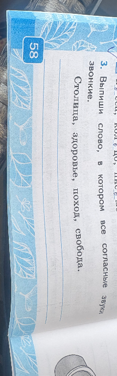 3. Выпиши слово, в котором все согласные звуки звонкие. Столица, здоровье, поход, свобода.