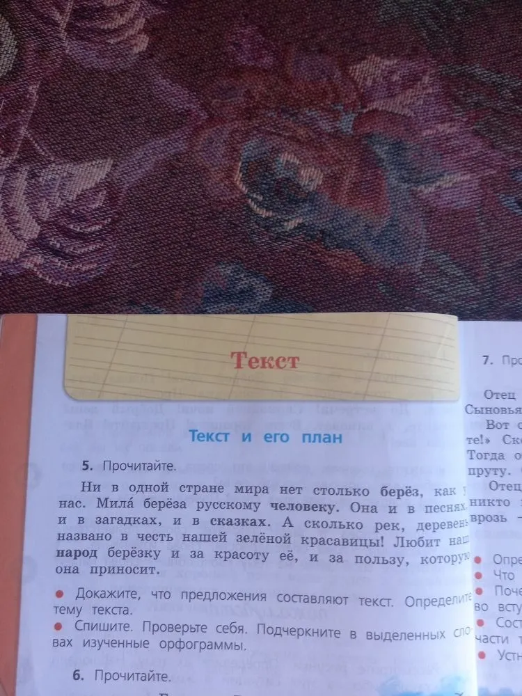 Докажите, что предложения составляют текст. Определите тему текста.