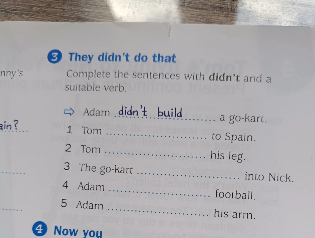 Complete the sentences with didn't and a suitable verb.