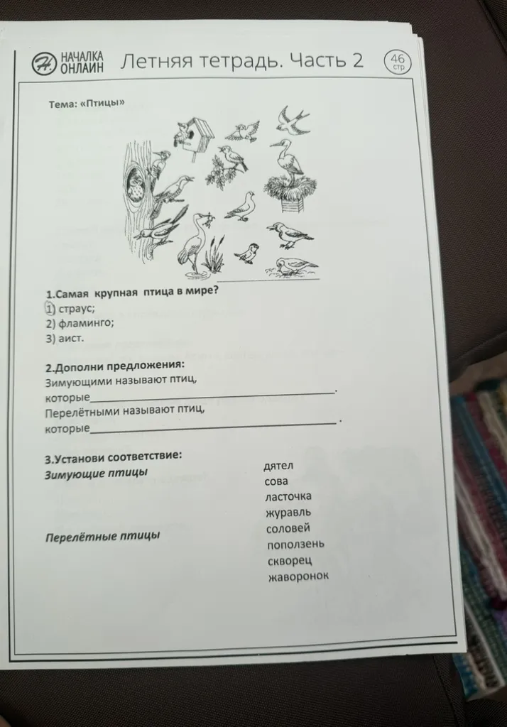 Тема: «Птицы» 1. Самая крупная птица в мире? 2. Дополни предложения. 3. Установи соответствие.