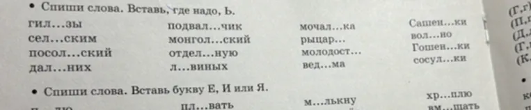 Спиши слова. Вставь, где надо, ь.