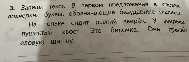 3. Запиши текст. В первом предложения в словах подчеркни буквы, обозначающие безударные гласные.
