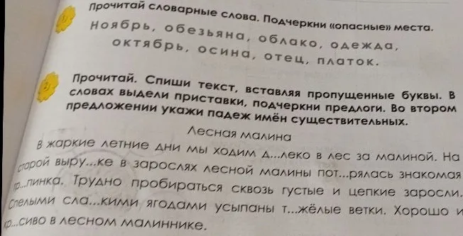 Прочитай словарные слова. Подчеркни «опасные» места. Ноябрь, обезьяна, облако, одежда, осина, отец, платок.