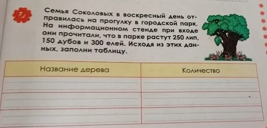 Семья Соколовых в воскресный день отправилась на прогулку в городской парк. На информационном стенде при входе они прочитали, что в парке растут 250 лип, 150 дубов и 300 елей. Исходя из этих данных, заполни таблицу.