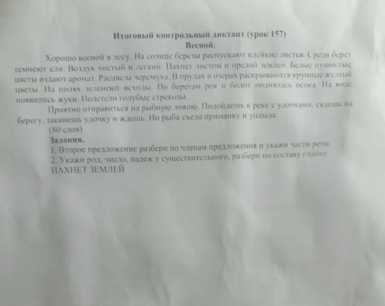 Итоговый контрольный диктант (урок 157). Весной. Хорошо весной в лесу. На солнце березы распускают клейкие листья.