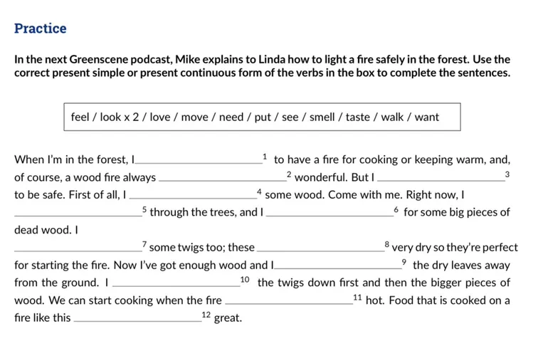 In the next Greenscene podcast, Mike explains to Linda how to light a fire safely in the forest. Use the correct present simple or present continuous form of the verbs in the box to complete the sentences.