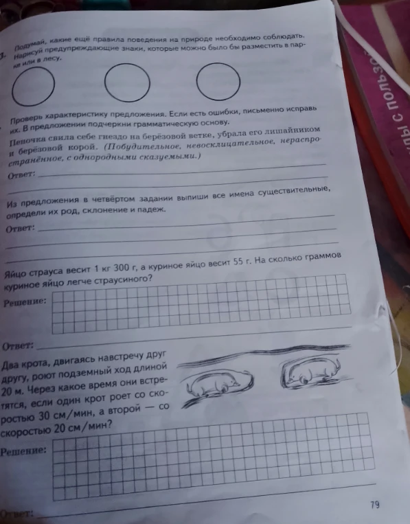 Подумай, какие ещё правила поведения на природе необходимо соблюдать. Нарисуй предупреждающие знаки, которые можно было бы разместить в парке или в лесу.