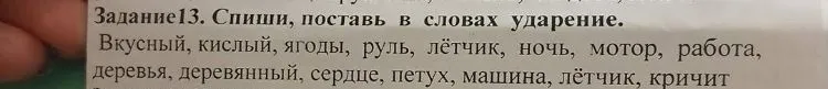 Задание 13. Спиши, поставь в словах ударение.