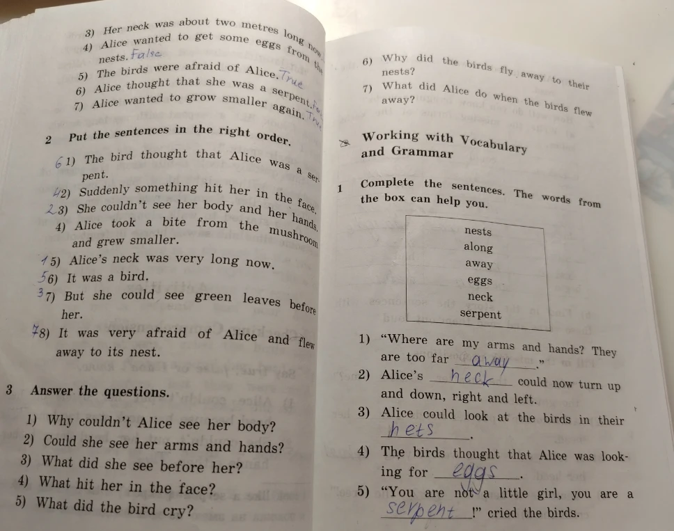 3) Answer the questions. 1) Why couldn't Alice see her body?