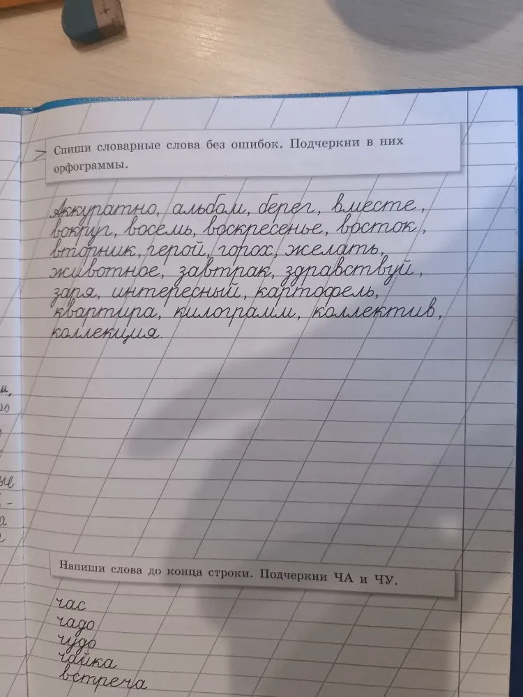 Спиши словарные слова без ошибок. Подчеркни в них орфограммы.