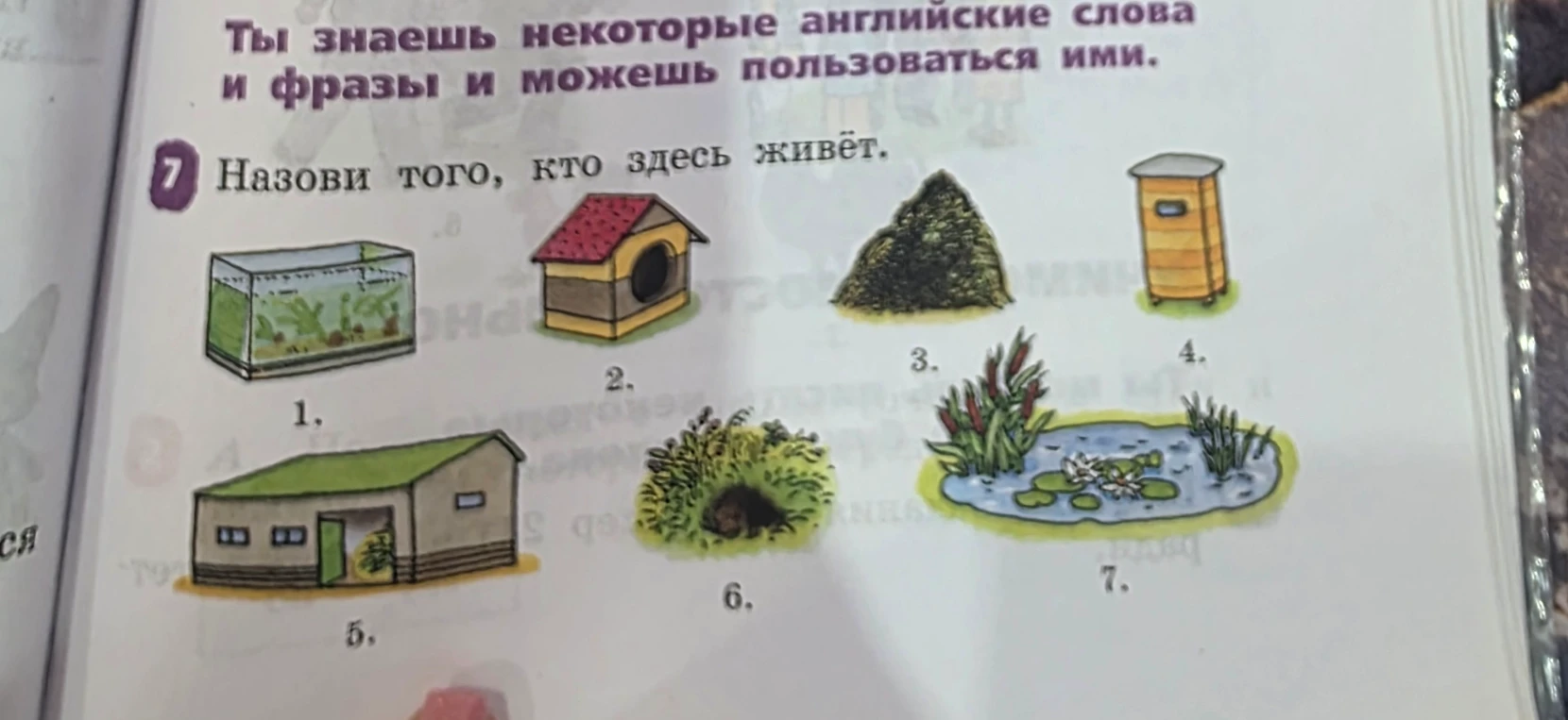 Назови того, кто здесь живёт.