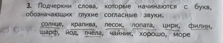 3. Подчеркни слова, которые начинаются с букв, обозначающих глухие согласные звуки.