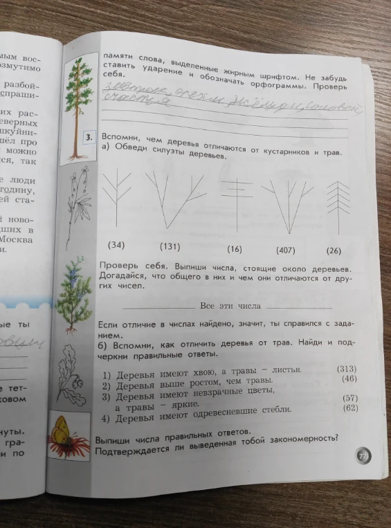 Вспомни, чем деревья отличаются от кустарников и трав. Обводи силуэты деревьев.