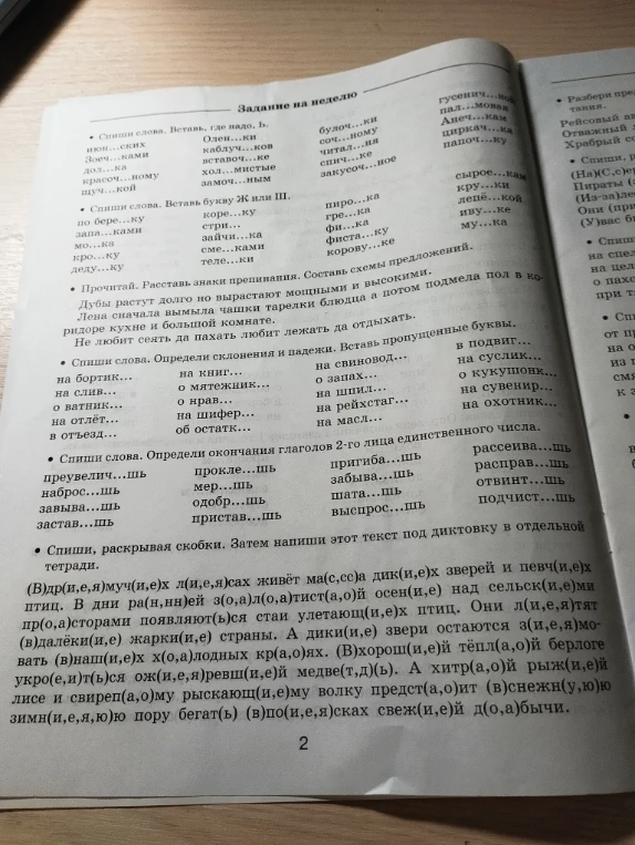 Спиши слова. Вставь, где надо ь.
