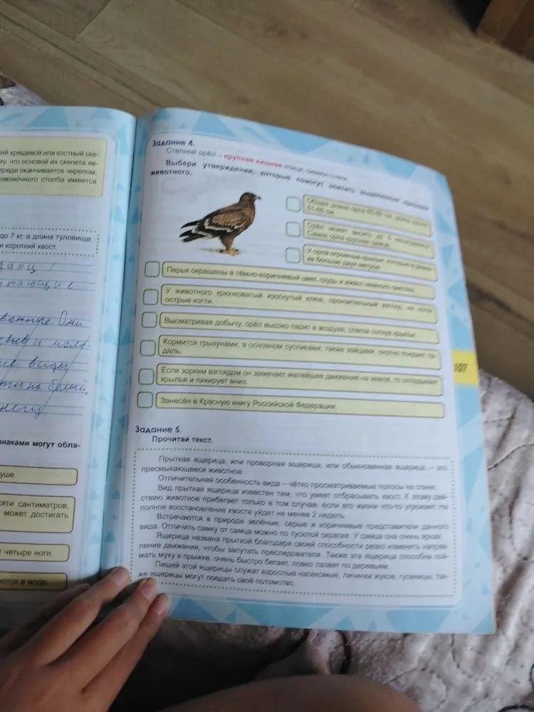 Задание 4. Степной орёл — крупная хищная птица, символ степи. Выбери утверждения, которые помогут описать выделенные признаки животного.