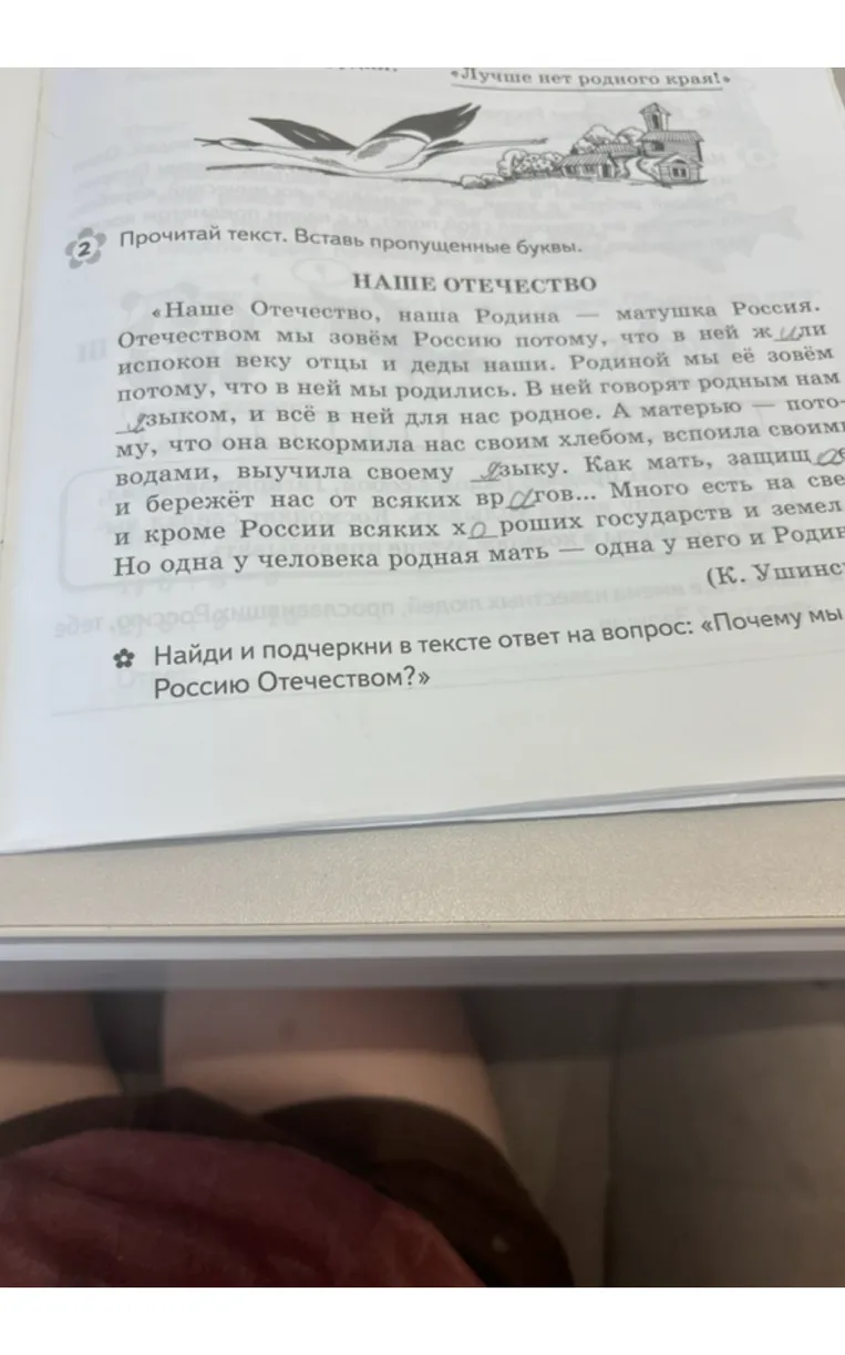 Прочитай текст. Вставь пропущенные буквы.