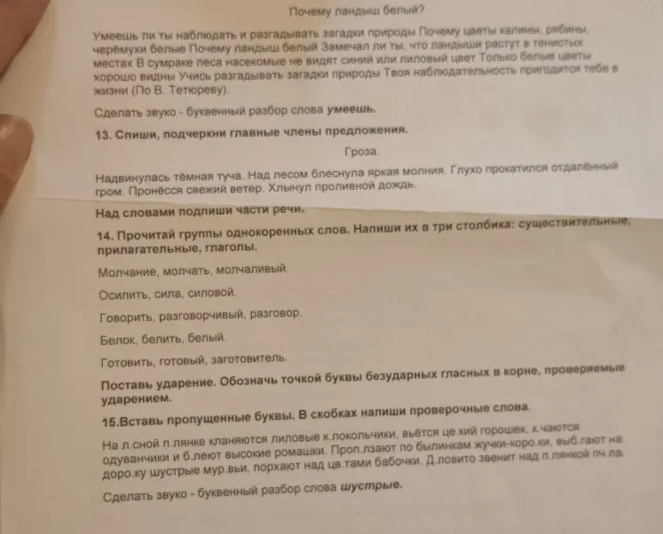 Умеешь ли ты наблюдать и разгадывать загадки природы Почему цветы калины, рябины, черёмухи белые