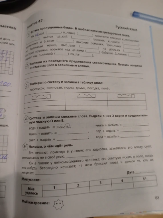 Вставь пропущенные буквы. В скобках напиши проверочные слова.