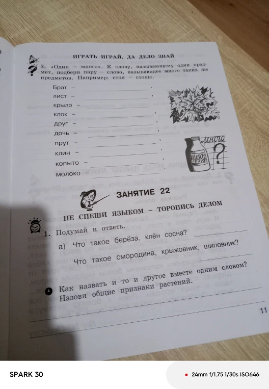 3. «Один — много». К слову, называющему один предмет, подбери пару — слово, называющее много таких же предметов. Например: стол — столы.