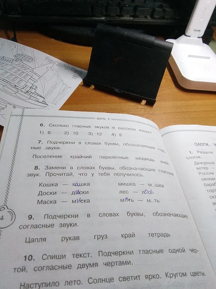 6. Сколько гласных звуков в русском языке?