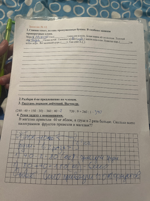 Спиши текст, вставь пропущенные буквы. В скобках запиши проверочные слова.