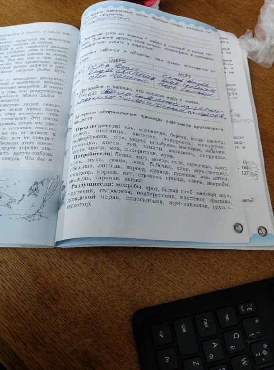 Зачеркни неправильные примеры участников круговорота веществ.