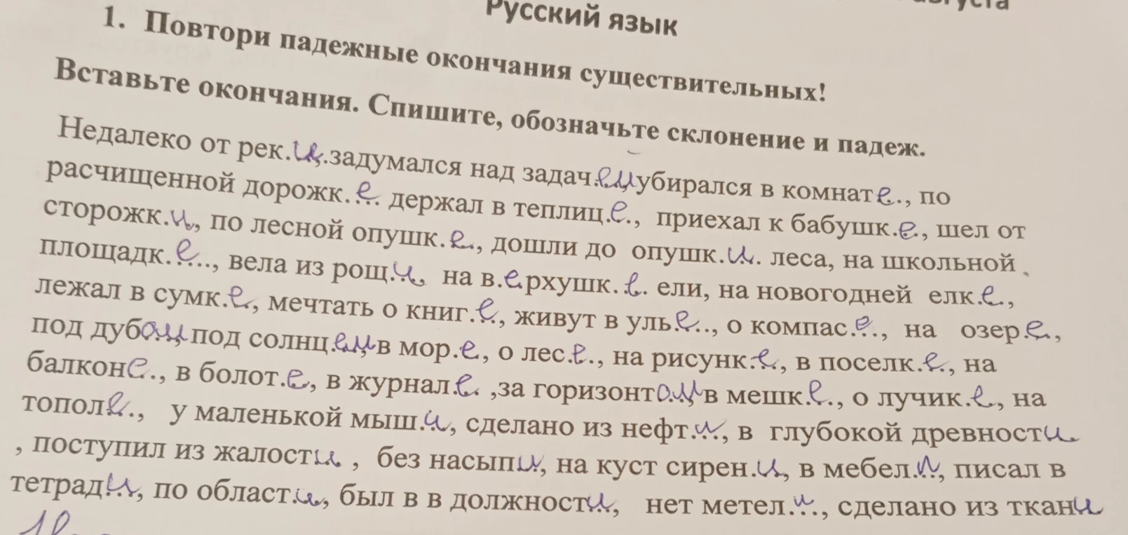 Повтори падежные окончания существительных! Вставьте окончания. Спишите, обозначьте склонение и падеж.