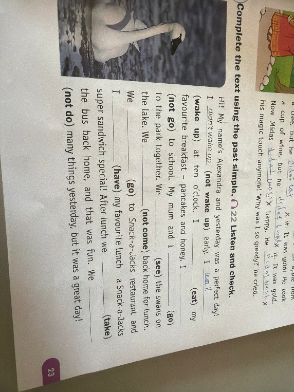 Complete the text using the past simple.