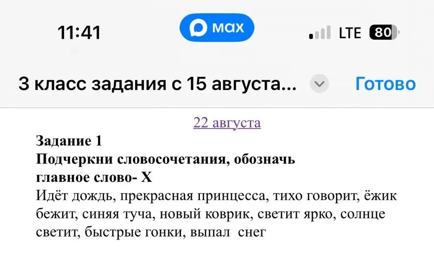 Подчеркни словосочетания, обозначь главное слово- X