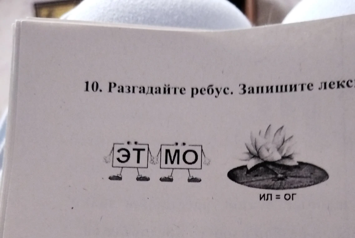 10. Разгадайте ребус. Запишите лекс...