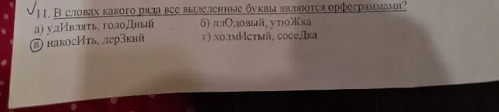 В словах какого ряда все выделенные буквы являются орфограммами?