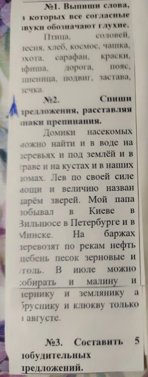№1. Выпиши слова, в которых все согласные звуки обозначают глухие. №2. Спиши предложения, расставляя знаки препинания. №3. Составить 5 побудительных предложений.