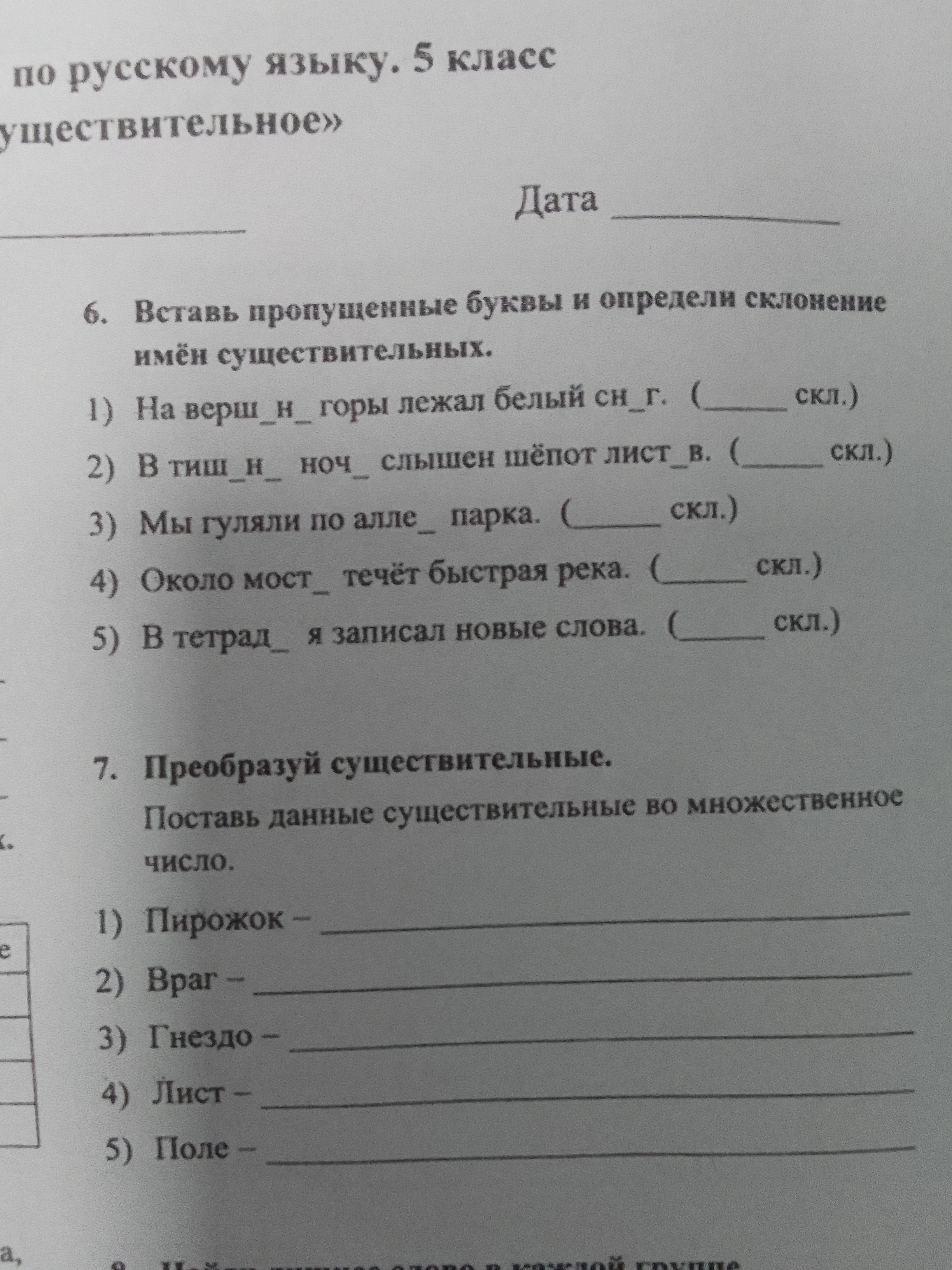 6. Вставь пропущенные буквы и определи склонение имён существительных.