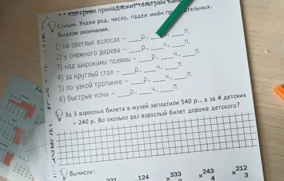 Спиши. Укажи род, число, падеж имён прилагательных. Выдели окончания.