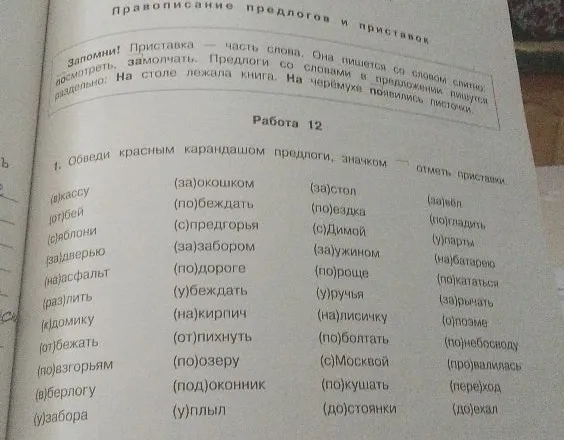 Обведи красным карандашом предлоги, значком ¬ отметь приставки.