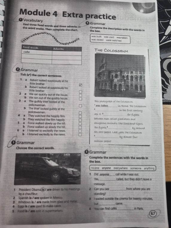Find three food words and three adverbs in the word snake. Then complete the chart.