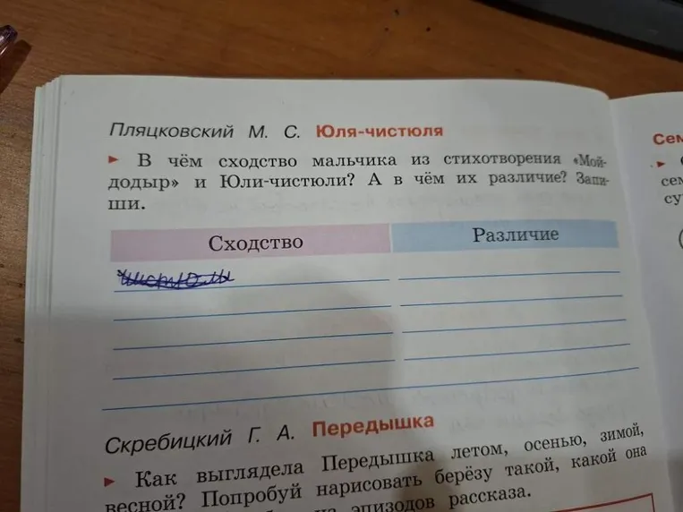 В чём сходство мальчика из стихотворения «Мойдодыр» и Юли-чистюли? А в чём их различие? Запиши.