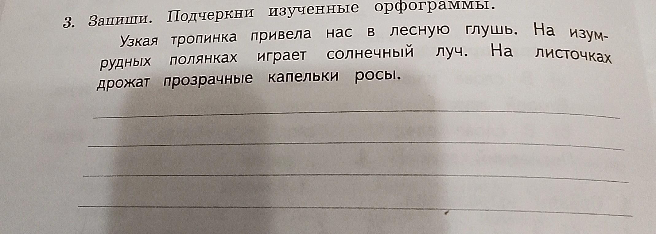 3. Запиши. Подчеркни изученные орфограммы.