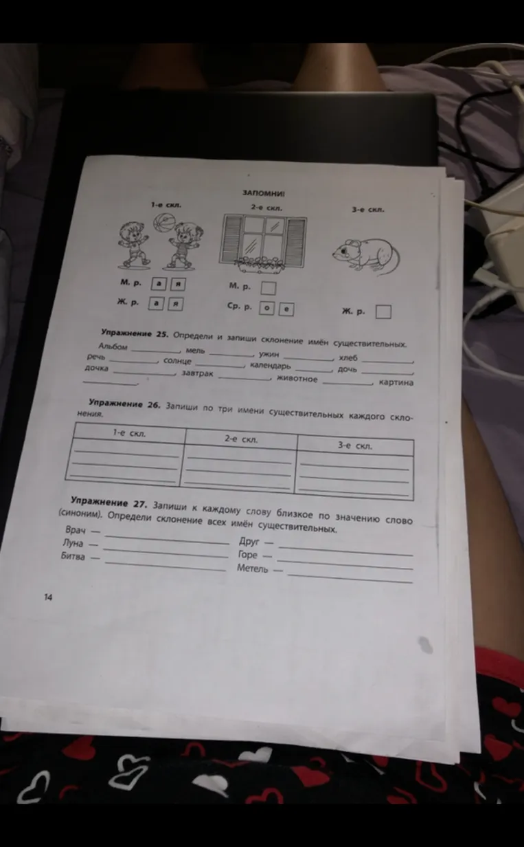 Упражнение 25. Определи и запиши склонение имён существительных.