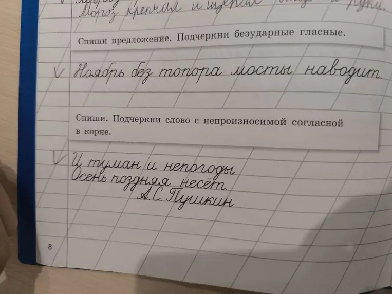 Спиши предложение. Подчеркни безударные гласные.