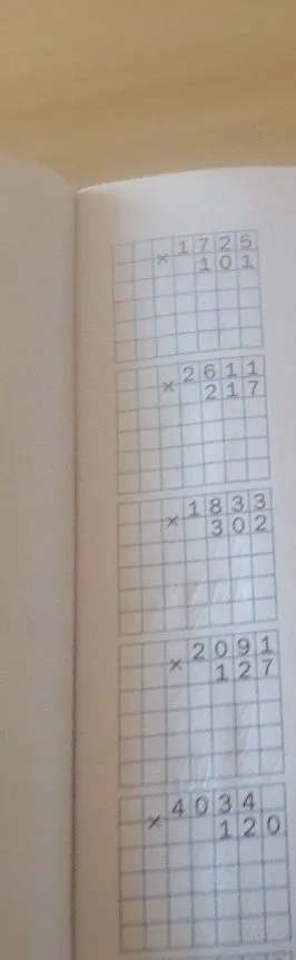 Решение примеров на умножение в столбик: 1725*101, 2611*217, 1833*302, 2091*127, 4034*120.